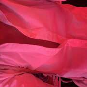 ヒメ日記 2025/06/27 22:44 投稿 ここ banana