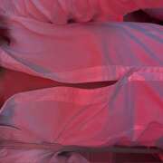 ヒメ日記 2025/09/22 20:36 投稿 ここ banana