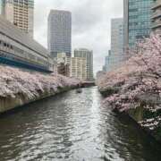 ヒメ日記 2025/04/06 17:14 投稿 りお 横浜風俗　寝取られたいオンナ達…生