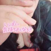 ヒメ日記 2024/12/31 15:12 投稿 ふみ 山口下関ちゃんこ