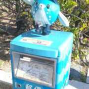 ヒメ日記 2025/04/13 21:12 投稿 ふみ 山口下関ちゃんこ