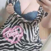 ヒメ日記 2025/04/19 10:03 投稿 ふみ 山口下関ちゃんこ