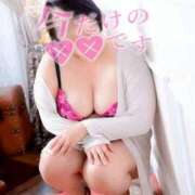 ヒメ日記 2025/06/01 07:07 投稿 ふみ 山口下関ちゃんこ