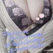 ヒメ日記 2025/06/24 12:17 投稿 ふみ 山口下関ちゃんこ