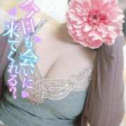 ヒメ日記 2025/07/30 13:09 投稿 ふみ 山口下関ちゃんこ