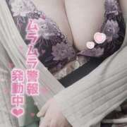 ヒメ日記 2025/08/05 15:53 投稿 ふみ 山口下関ちゃんこ