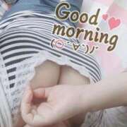 ヒメ日記 2025/09/08 06:23 投稿 ふみ 山口下関ちゃんこ