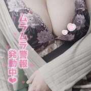 ヒメ日記 2025/10/08 18:34 投稿 ふみ 山口下関ちゃんこ