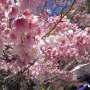 ヒメ日記 2026/03/04 12:14 投稿 ふみ 山口下関ちゃんこ