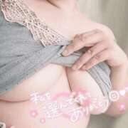 ヒメ日記 2026/03/17 15:24 投稿 ふみ 山口下関ちゃんこ