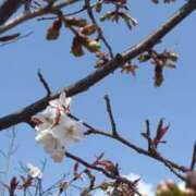 ヒメ日記 2026/03/20 07:14 投稿 ふみ 山口下関ちゃんこ