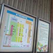 ヒメ日記 2026/03/21 14:04 投稿 ふみ 山口下関ちゃんこ