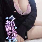 ヒメ日記 2026/03/22 07:04 投稿 ふみ 山口下関ちゃんこ