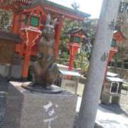 ヒメ日記 2026/03/24 12:14 投稿 ふみ 山口下関ちゃんこ