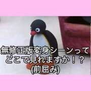 ヒメ日記 2025/11/01 08:31 投稿 もえ シルクハット