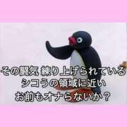 ヒメ日記 2025/11/02 08:31 投稿 もえ シルクハット