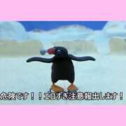 ヒメ日記 2025/11/17 09:21 投稿 もえ シルクハット