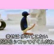 ヒメ日記 2025/11/21 12:52 投稿 もえ シルクハット