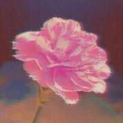 ヒメ日記 2025/10/14 17:33 投稿 希 モアグループ所沢人妻城