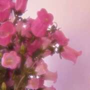 ヒメ日記 2025/10/30 18:48 投稿 希 モアグループ所沢人妻城