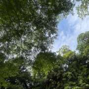 ヒメ日記 2025/06/01 19:15 投稿 ちひろ 神田エマニエル