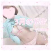 ヒメ日記 2025/02/25 23:34 投稿 ゆめ☆miss Honey☆ Honey