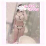 ヒメ日記 2025/04/23 13:04 投稿 ゆめ☆miss Honey☆ Honey