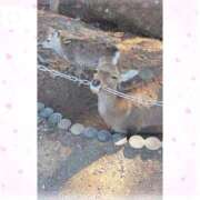 ヒメ日記 2026/02/18 21:48 投稿 ゆめ☆miss Honey☆ Honey