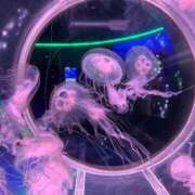 ヒメ日記 2025/07/02 16:30 投稿 みやび 千姫(道後)