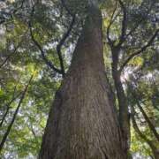 ヒメ日記 2025/09/13 09:43 投稿 みやび 千姫(道後)