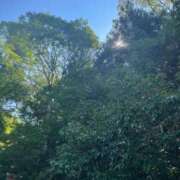 ヒメ日記 2025/09/17 02:35 投稿 みやび 千姫(道後)