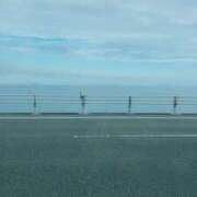 ヒメ日記 2025/11/11 09:00 投稿 みやび 千姫(道後)