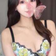 ヒメ日記 2025/11/22 15:54 投稿 杉浦みさき ブルーバード