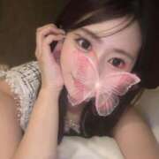 ヒメ日記 2026/02/17 19:44 投稿 杉浦みさき ブルーバード