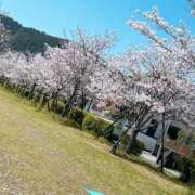 ヒメ日記 2025/04/06 01:19 投稿 やよい 鹿児島ちゃんこ霧島店