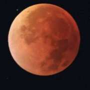 ヒメ日記 2025/09/09 17:48 投稿 こりん ぽっちゃり巨乳美女専門川越ちゃんこ