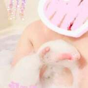 ヒメ日記 2025/10/18 22:08 投稿 こりん ぽっちゃり巨乳美女専門川越ちゃんこ