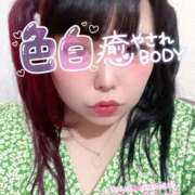 ヒメ日記 2025/11/09 17:52 投稿 こりん ぽっちゃり巨乳美女専門川越ちゃんこ