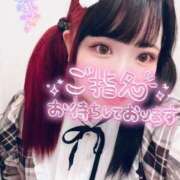 ヒメ日記 2025/11/10 11:15 投稿 こりん ぽっちゃり巨乳美女専門川越ちゃんこ