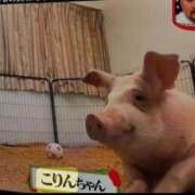 ヒメ日記 2026/05/05 16:42 投稿 こりん ぽっちゃり巨乳美女専門川越ちゃんこ