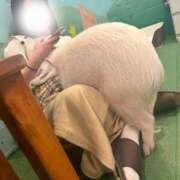 ヒメ日記 2024/12/23 12:33 投稿 るちあ◆責め大好き痴女 即イキ淫乱倶楽部 小山店