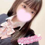 ヒメ日記 2025/02/12 11:08 投稿 なる ワンダフル