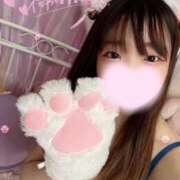 ヒメ日記 2025/08/05 13:29 投稿 なる ワンダフル