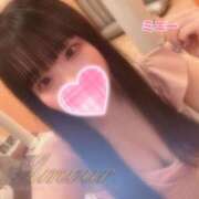 ヒメ日記 2025/03/15 12:04 投稿 ミニー AMOUR（アムール）