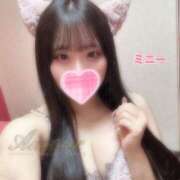 ヒメ日記 2025/10/17 09:03 投稿 ミニー AMOUR（アムール）