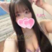 ヒメ日記 2025/10/29 01:16 投稿 ミニー AMOUR（アムール）