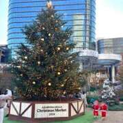 ヒメ日記 2024/12/11 16:26 投稿 東 新宿人妻城