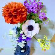 ヒメ日記 2025/03/09 23:04 投稿 せな(体験) 人妻の雫 岡山店