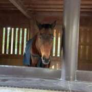 ヒメ日記 2025/01/07 09:27 投稿 ひめ 熟女家 梅田店