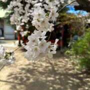 ヒメ日記 2025/04/01 09:40 投稿 ひめ 熟女家 梅田店